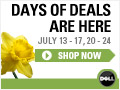 Dell Canada Deals