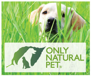 Save 15% on Pet Treats & Chews with code: CHEWY